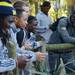 Members of the Michigan football team check out the flamingo exhibit while on a team outing at Busch Gardens in Tampa, Fla. on Saturday, Dec. 29. Melanie Maxwell I AnnArbor.com